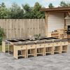 vidaXL 13-delige Tuinset met kussens poly rattan gemengd beige