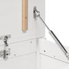 Miniatuurafbeelding van het product 10 van 12