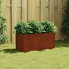 vidaXL Plantenbak 80x40x40 cm cortenstaal