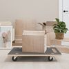 vidaXL Meubelhondjes 2 st rechthoekig 250 kg 80x55x11,5 cm