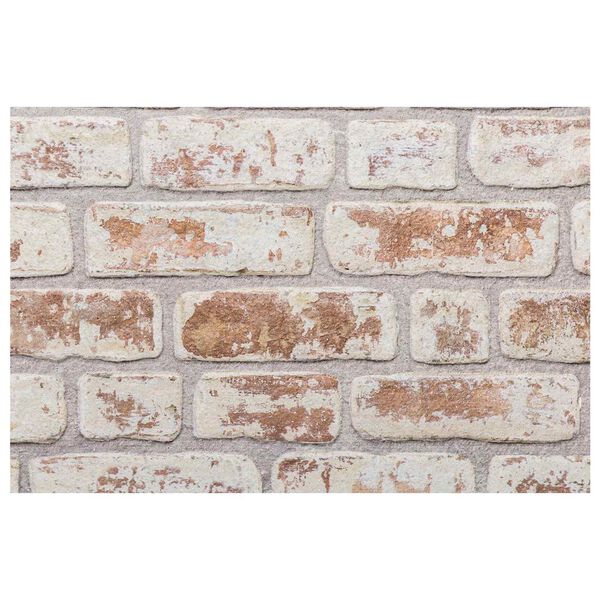 vidaXL Wandpanelen 10 pcs Rood en Wit 100 x 50 cm EPS-schuim