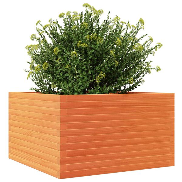 vidaXL Plantenbak 80x80x46 cm massief grenenhout wasbruin