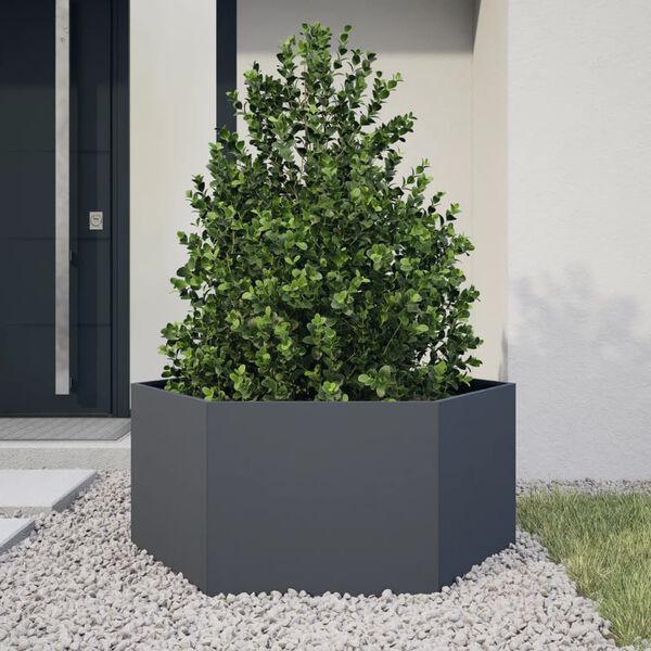 vidaXL Plantenbak zeshoek 104x90x45 cm staal antracietkleurig