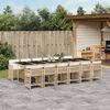 vidaXL 13-delige Tuinset met kussens poly rattan beige