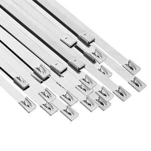 vidaXL Kabelbinders 50 st 7,9 x 250 mm zilver