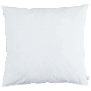 vidaXL Hoofdkussen 2 st 65 x 65 cm Veren Wit