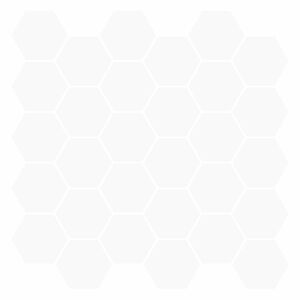 vidaXL Hexagon tegel 20 st Wit 30 x 30 cm Polyurethaan en PET