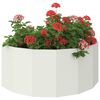 Miniatuurafbeelding van het product 3 van 12