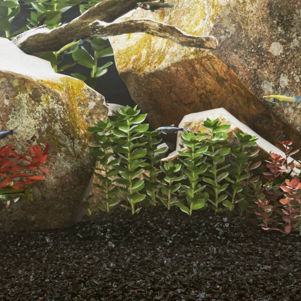 Productafbeelding 2 van 5