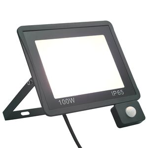 vidaXL Spotlight met sensor LED 100 W koudwit