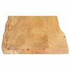 vidaXL Tafelblad met natuurlijke rand 70x40x2,5 cm massief mangohout