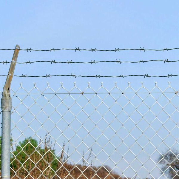 vidaXL Prikkeldraad Groen 100 m Warmgedipte Gegalvaniseerde Staal