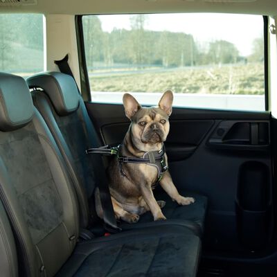 Kerbl Autoveiligheidstuig voor huisdieren 44-55 cm zwart