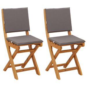 vidaXL Bistrostoelen voor buiten 2 st Donkergrijs Massief Acaciahout