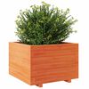 vidaXL Plantenbak 70x70x49,5 cm massief grenenhout wasbruin