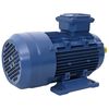 vidaXL Elektromotor 3 fase 2,2 kW/3 pk 2-polig 2840 rpm aluminium