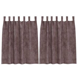 vidaXL Velvet Gordijnen 2 st Bruin 140 x 140 cm Fluweel