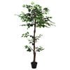 Miniatuurafbeelding van het product 3 van 6