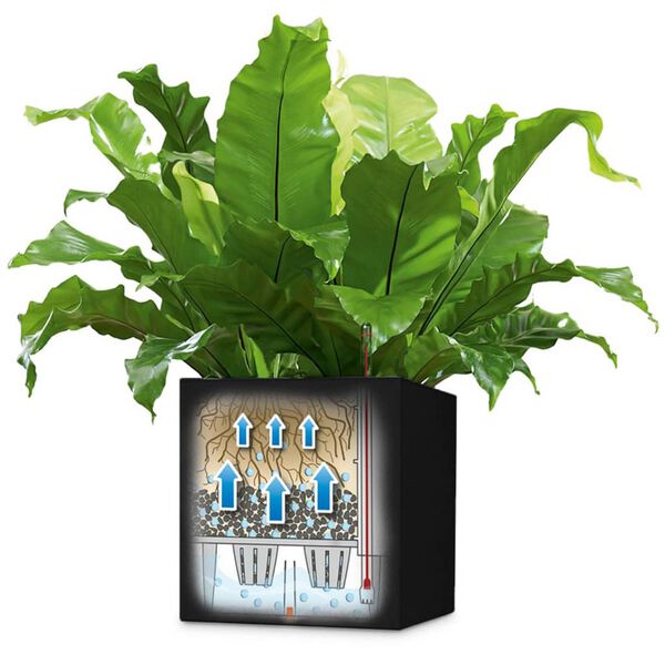 LECHUZA Plantenbak Canto Color Square 40 ALL-IN-ONE grafiet 13722