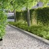 Miniatuurafbeelding van het product 2 van 10