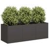 vidaXL Plantenbak Zwart 120x40x40 cm Koudgewalst Staal