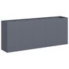 vidaXL Plantenbak 200x40x80 cm koudgewalst staal antracietkleurig
