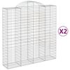 vidaXL Schanskorven 2 st gewelfd 200x50x200/220 cm ijzer
