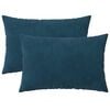 vidaXL Kussen met kussen HEERLEN 2 st Blauw fluweel
