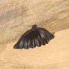 Miniatuurafbeelding van het product 4 van 9