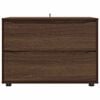 vidaXL Opbergkast Bruin Eiken 80 x 48 x 57 cm Bewerkt hout