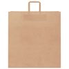 vidaXL Papieren zakken 50 st met hengsels 45x17x48 cm bruin