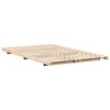 vidaXL Bedframe Bruin 120 x 200 cm Massief grenenhout