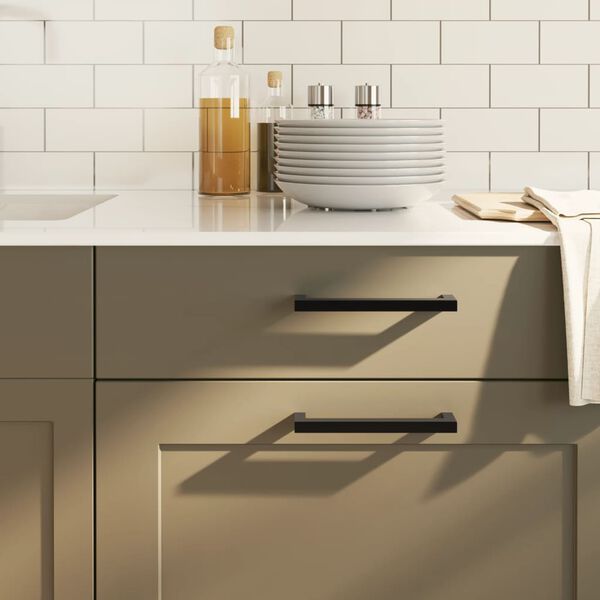 vidaXL Handvatten 20 st 160 mm roestvrij staal zwart