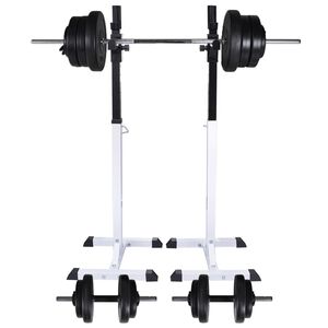 vidaXL Halter-/squatrek met halterset 60,5 kg