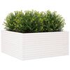 vidaXL Plantenbak 100x100x46 cm massief grenenhout wit