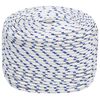 vidaXL Multifunctioneel gebruikstouw 6 mm 50 m Wit en Blauw PP