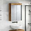 vidaXL Badkamer spiegelkast met plank TULUM Oudhout 60 x 16,5 x 78 cm