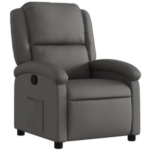 vidaXL Relaxfauteuil Grijs Echt Leer