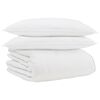vidaXL Winter Dekbed met kussen 3 st Wit Donsveertjes