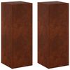 vidaXL Plantenstandaard 2 pcs Roestkleurig 30 x 30 x 80 cm