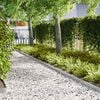 Miniatuurafbeelding van het product 2 van 8