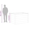 vidaXL Plantenbak verhoogd 150x100x91 cm HKC grijs