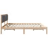 vidaXL Bedframe Donkergrijs 200 x 200 cm Massief grenenhout