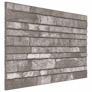 vidaXL Wandpanelen 10 st 100 x 50 cm Donkergrijs EPS-schuim