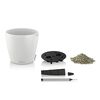 LECHUZA Plantenbak CLASSICO Color 21 ALL-IN-ONE wit