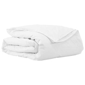 vidaXL 2-in-1 Dekbed Wit 240 x 220 cm Veren