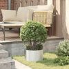 vidaXL Tuin Bloempot 5 pcs Zilver 30 x 30 x 20 cm Gegalvaniseerd staal