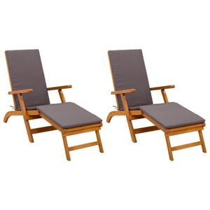 vidaXL Ligstoelkentingen en opvouwbare zonnebader 2 pcs Grijs