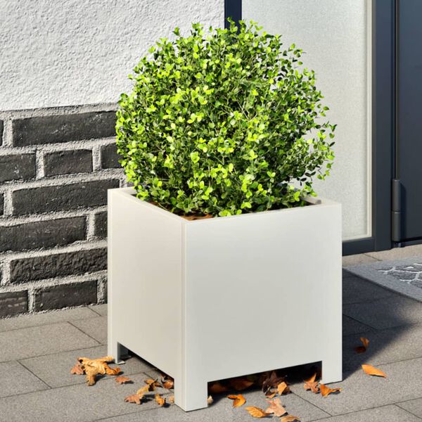 Productafbeelding 2 van 12