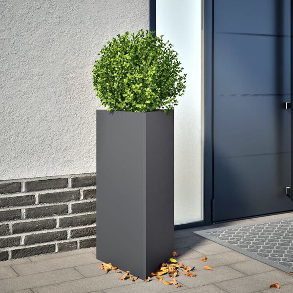 Productafbeelding 2 van 12